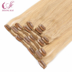 2020 Hot Sale Full Cuticle Clip in Hair Extension 2020 Hot Sale Full Cuticle Clip in Hair Extension
